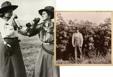 A story of reinvention that begins with hemp, herbs, and a whole lot of heart.