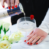 Bellini Cocktail