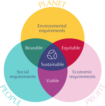 Preliminary <em>B Corp</em> Registered